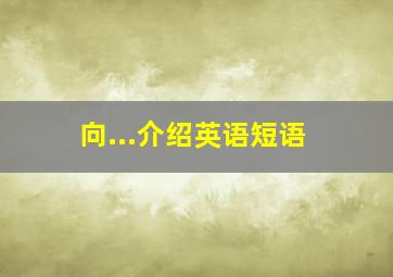 向...介绍英语短语