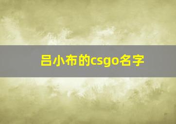 吕小布的csgo名字