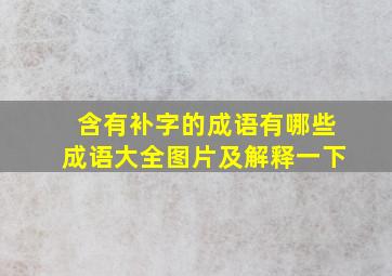 含有补字的成语有哪些成语大全图片及解释一下