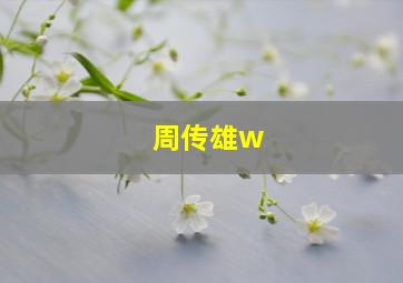 周传雄w