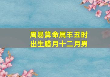 周易算命属羊丑时出生腊月十二月男