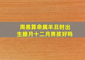 周易算命属羊丑时出生腊月十二月男孩好吗