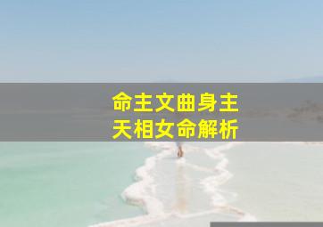 命主文曲身主天相女命解析