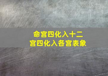 命宫四化入十二宫四化入各宫表象