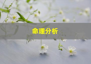 命理分析