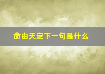 命由天定下一句是什么