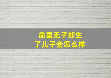 命里无子却生了儿子会怎么样