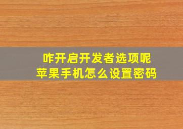 咋开启开发者选项呢苹果手机怎么设置密码