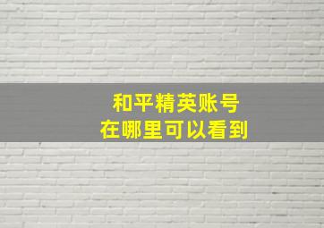 和平精英账号在哪里可以看到