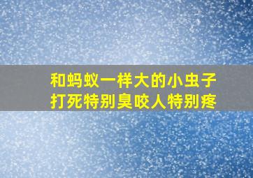 和蚂蚁一样大的小虫子打死特别臭咬人特别疼