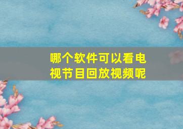 哪个软件可以看电视节目回放视频呢