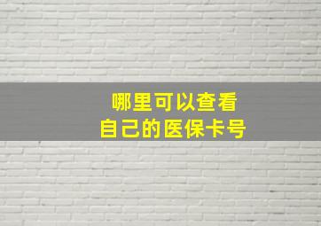 哪里可以查看自己的医保卡号