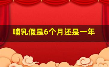 哺乳假是6个月还是一年