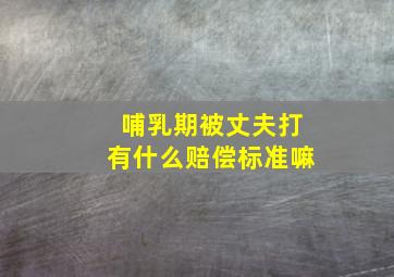 哺乳期被丈夫打有什么赔偿标准嘛