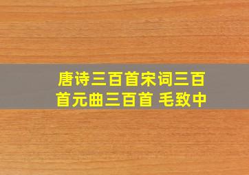 唐诗三百首宋词三百首元曲三百首 毛致中