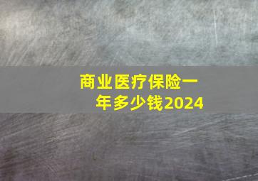 商业医疗保险一年多少钱2024