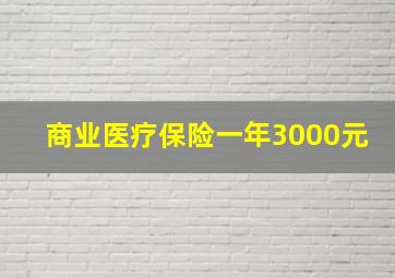 商业医疗保险一年3000元