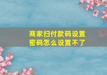 商家扫付款码设置密码怎么设置不了