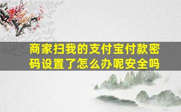 商家扫我的支付宝付款密码设置了怎么办呢安全吗