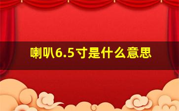 喇叭6.5寸是什么意思