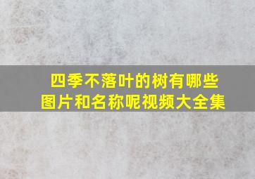 四季不落叶的树有哪些图片和名称呢视频大全集