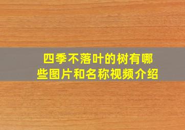 四季不落叶的树有哪些图片和名称视频介绍