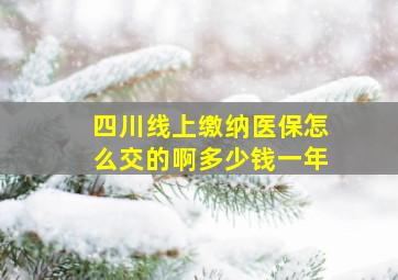 四川线上缴纳医保怎么交的啊多少钱一年