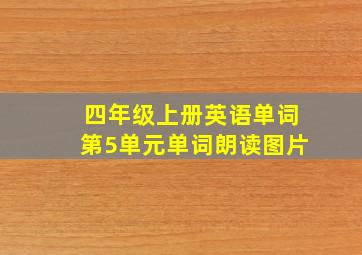 四年级上册英语单词第5单元单词朗读图片