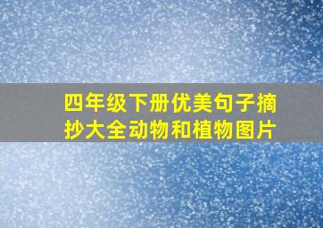 四年级下册优美句子摘抄大全动物和植物图片