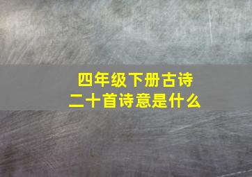 四年级下册古诗二十首诗意是什么