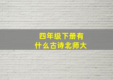 四年级下册有什么古诗北师大