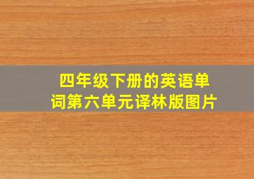 四年级下册的英语单词第六单元译林版图片