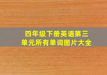 四年级下册英语第三单元所有单词图片大全