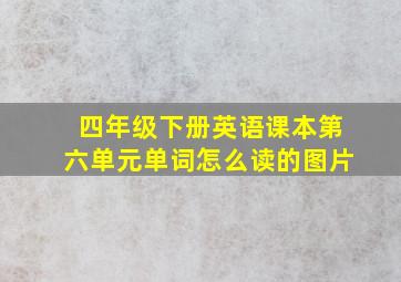 四年级下册英语课本第六单元单词怎么读的图片