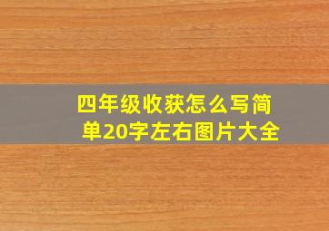 四年级收获怎么写简单20字左右图片大全