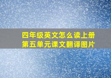 四年级英文怎么读上册第五单元课文翻译图片