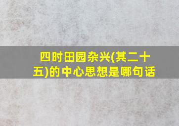 四时田园杂兴(其二十五)的中心思想是哪句话