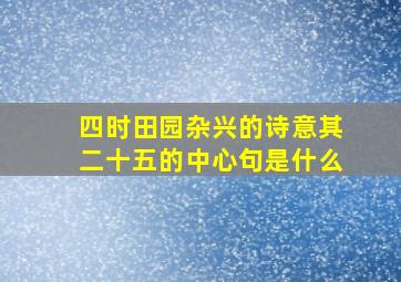 四时田园杂兴的诗意其二十五的中心句是什么