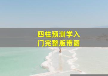 四柱预测学入门完整版带图