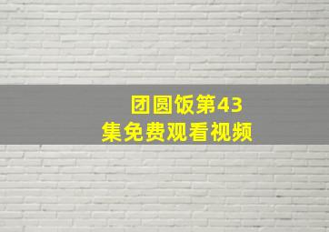 团圆饭第43集免费观看视频