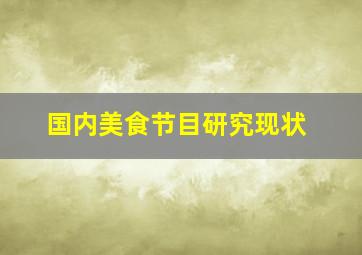 国内美食节目研究现状