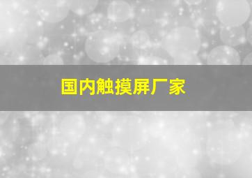 国内触摸屏厂家