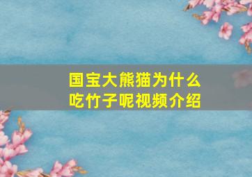 国宝大熊猫为什么吃竹子呢视频介绍