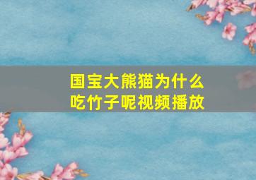 国宝大熊猫为什么吃竹子呢视频播放