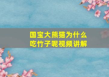 国宝大熊猫为什么吃竹子呢视频讲解