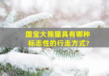 国宝大熊猫具有哪种标志性的行走方式?