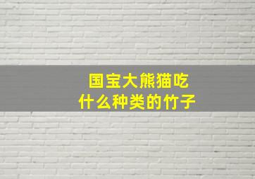 国宝大熊猫吃什么种类的竹子