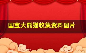 国宝大熊猫收集资料图片