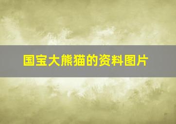 国宝大熊猫的资料图片