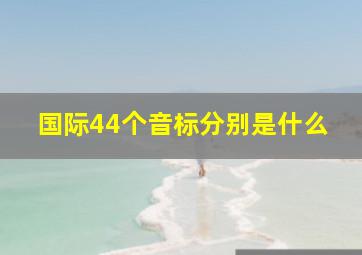 国际44个音标分别是什么